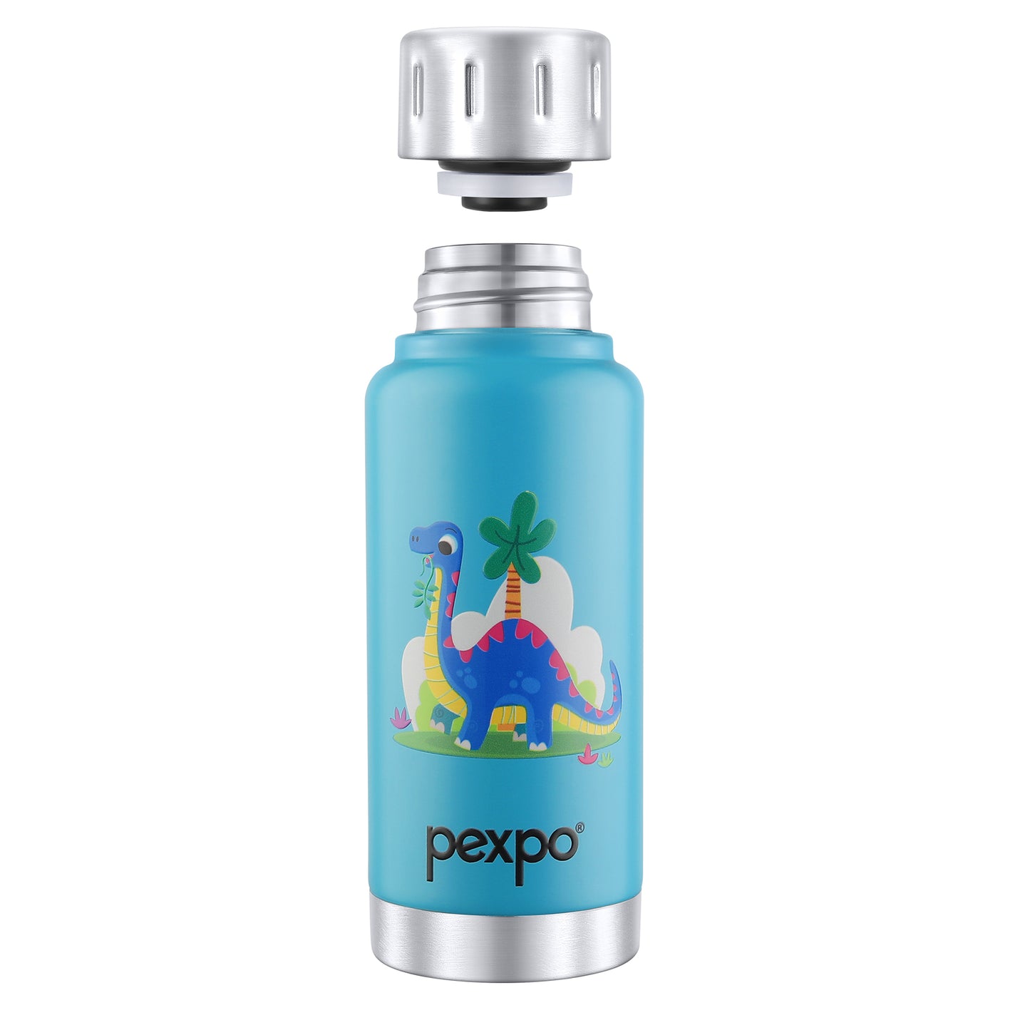 Cameo Dino Art Hot & Cold Water Bottle