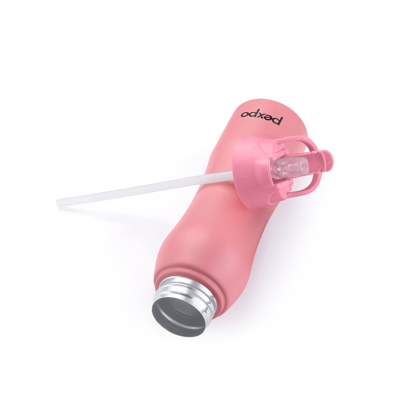 Belly SS Water Bottle