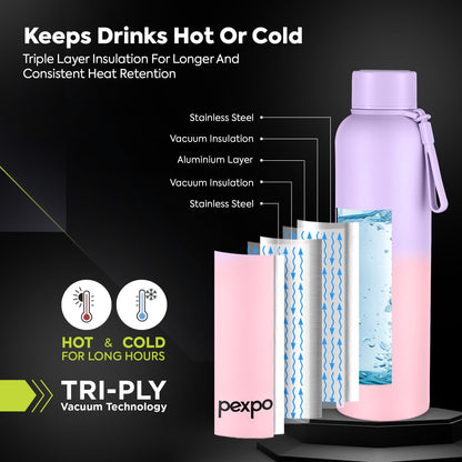 Pexpo Bravo Thermo Steel Bottle | Tri-Ply Vacuum Insulated Hot & Cold Flask - Ombre Design