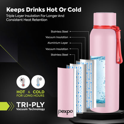 Pexpo Bravo Thermo Steel Bottle | Tri-Ply Vacuum Insulated Hot & Cold Flask - Pastel Edition