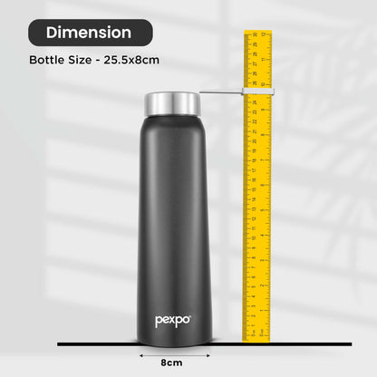 Vertigo SS Water Bottle