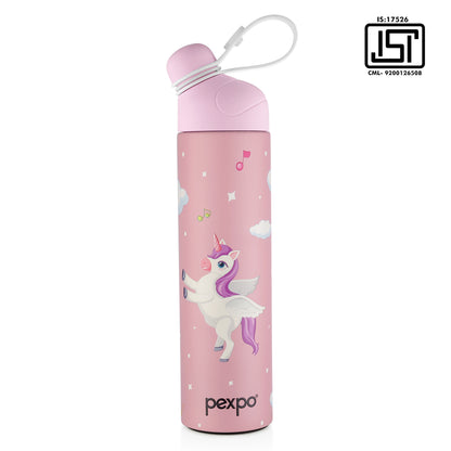 Pico Hot & Cold Water Bottle