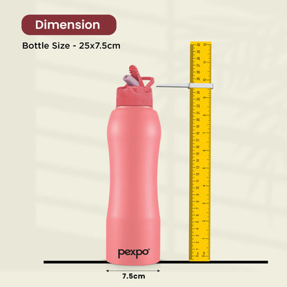 Belly SS Water Bottle