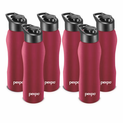 PEXPO Bistro- Wide Mouth & Leak-Proof Stainless Steel Water Bottle with Sipper Cap