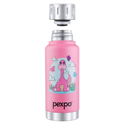 Cameo Dino Art Hot & Cold Water Bottle