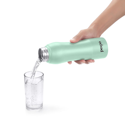 Belly SS Water Bottle
